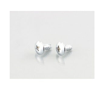 ウインカー\U0026ボディ用ビス(十字穴/トラス/2種)シルバークロームメッキ 5X14 2個