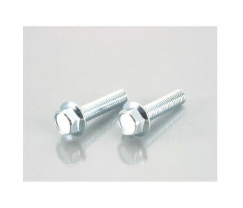 フランジ付六角ボルト (ユニクロメッキ) M6XP1.0X12mm 2個