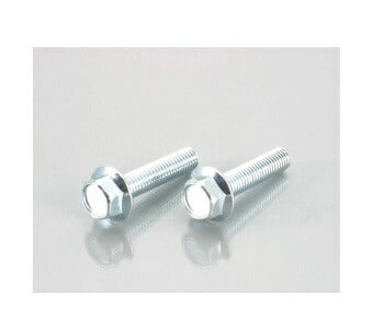 フランジ付六角ボルト (ユニクロメッキ) M6XP1.0X45mm 2個