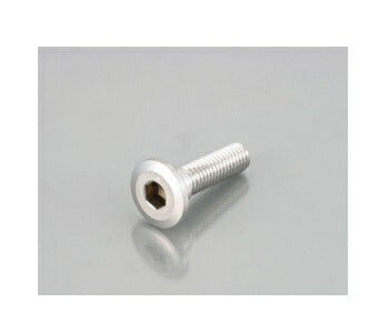 Rotor bolt, stainless steel, Kawasaki type, M8 x 30.2 x 5.1, P1.25, 10 pieces