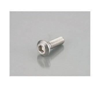 Rotor Bolts Stainless Steel Yamaha Type 1 M8x25x4 P1.25 (10 pcs)