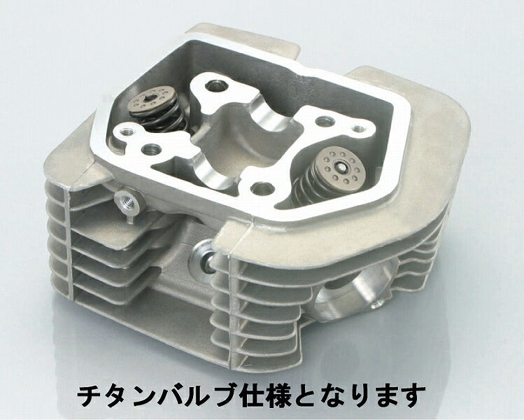 SE-PRO Cylinder Head (Titanium Valve) ASSY APE100