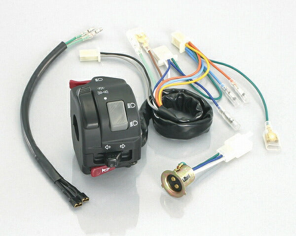 Headlight ON/OFF Switch Kit, Push-Cancel Type, APE100/D (HC07/HC13)