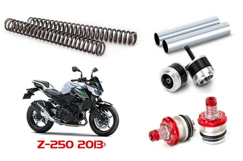 Fork Upgrade Kit Z250