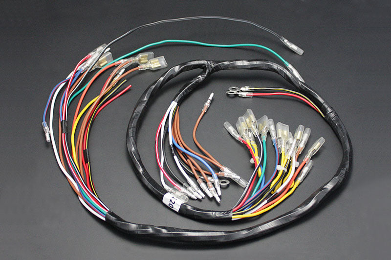 Main wire harness H1D
