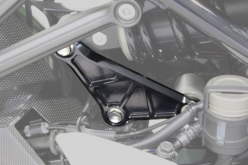 Rear Suspension Link Plate, Silver Z900RS