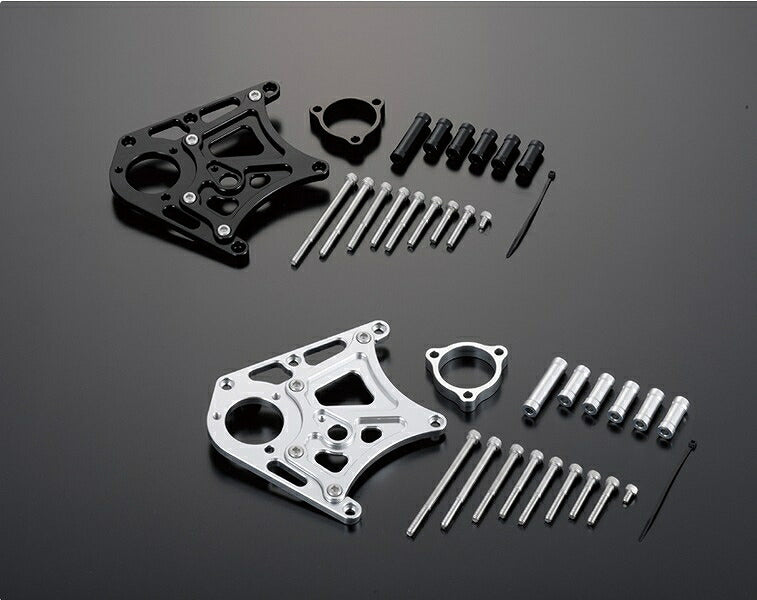 Sprocket Cover with Clutch Piston Base Black/Gold ZRX1200DAEG