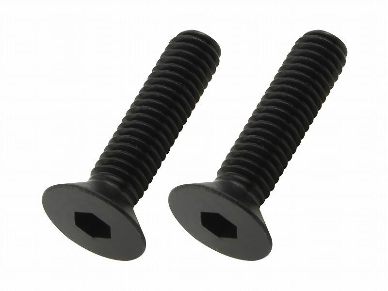Flat Head Socket Cap Screws, Black, M6 x 25mm, 2 pcs.