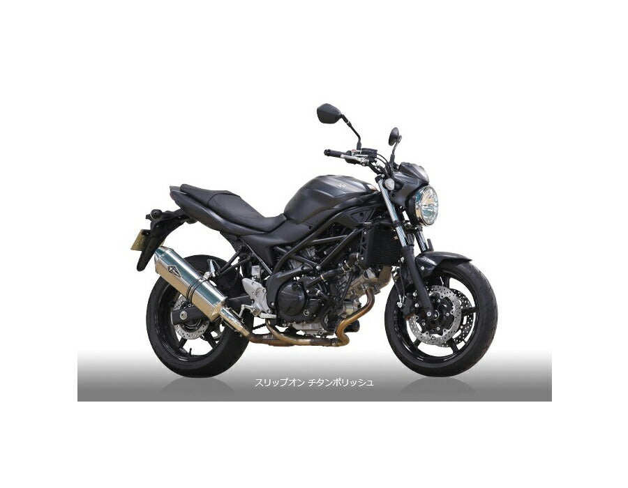 Real Spec Slip-On Titanium Polish Silencer SV650