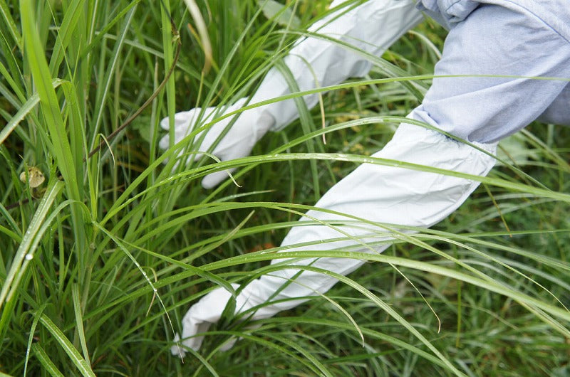 腕カバー付薄手 ホワイト 白 Lサイズ 1双