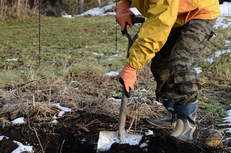 防寒HOLD(ホールド) オレンジ Lサイズ 1双