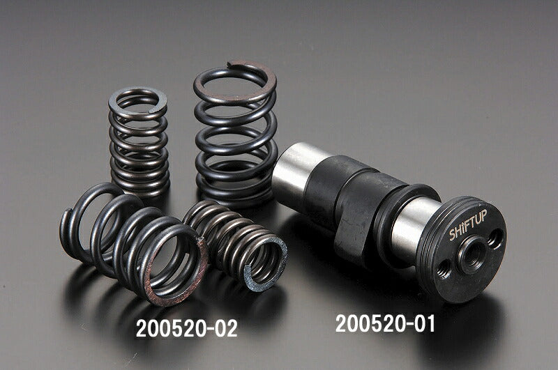 High-Range Valve Springs APE50-100/XR50-100/NSF100