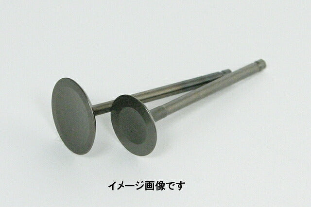 Valve Set (IN-5mm/EX-5mm) APE/APE100 (for Super Head)