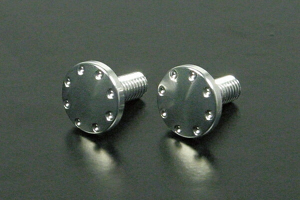 License Plate Bolt Set (Silver) Compatible with 50cc License Plates