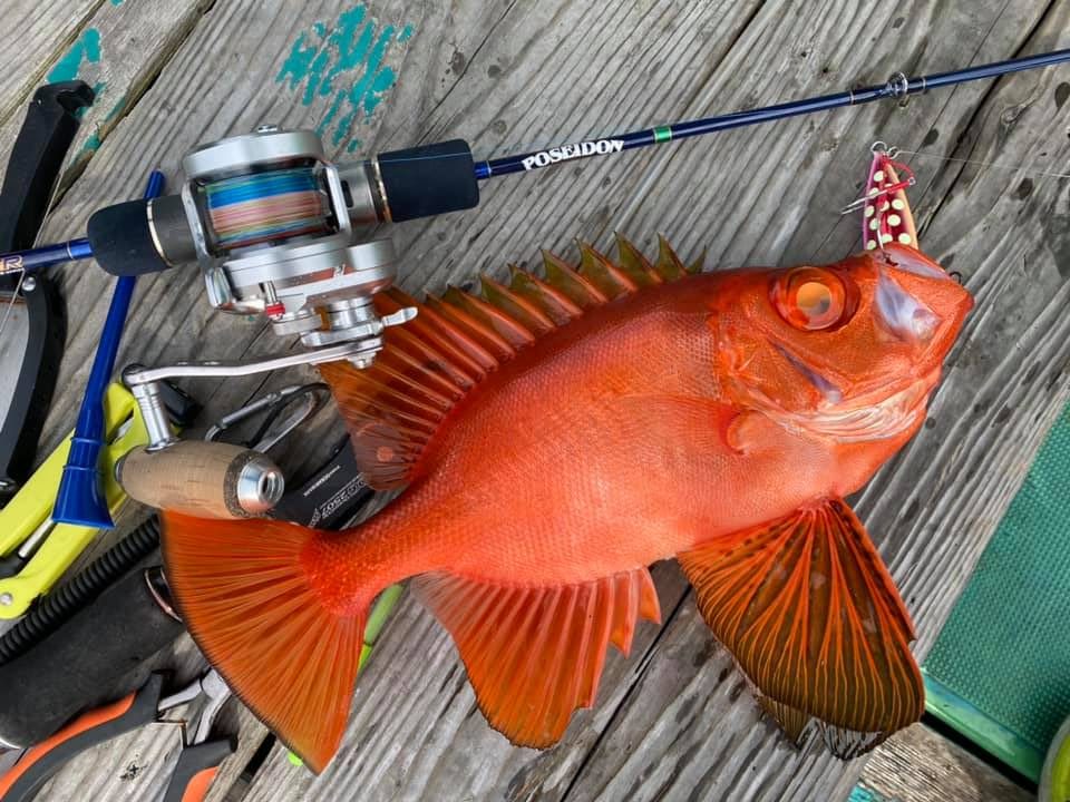 【BEST20】釣り用品で売れ筋の人気おすすめアイテムランキング！