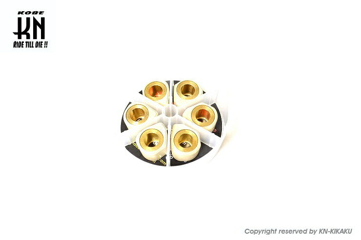 DR.PULLEY 異型ウエイトローラー 20×15 19.0g