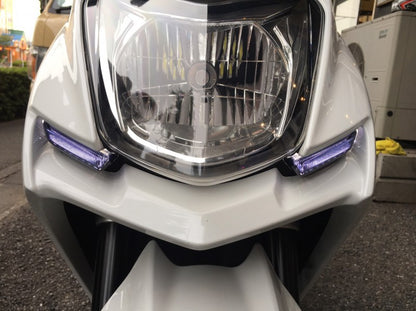 デイライトカバー スモーク シグナスX 4型