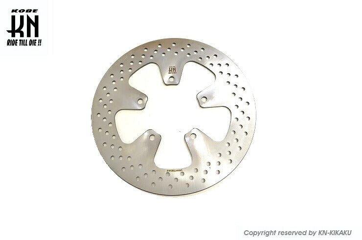 Stainless Front Disc Rotor 245mm Cygnus X BW's X