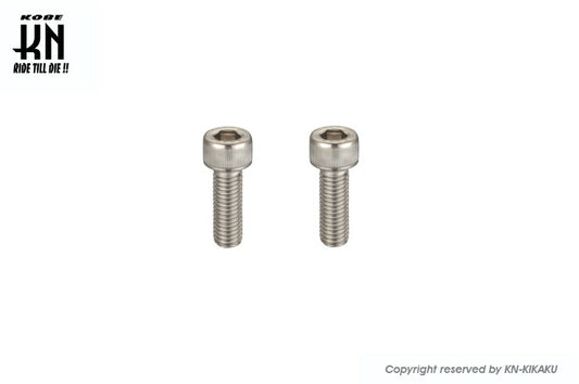 Hex Stainless Steel Bolts M8-35mm, 2 pcs