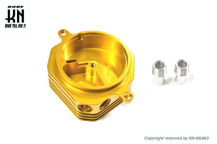 Timing Gear Cover Type 2 Gold Cygnus X BW'S
