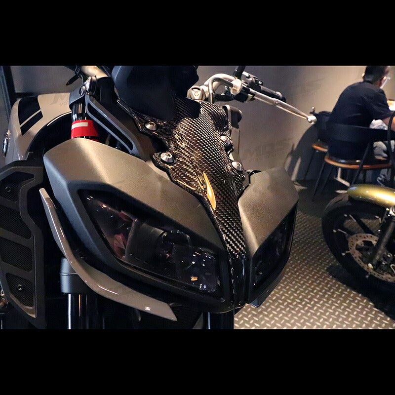 MOS Carbon Headlight Front Panel MT-09