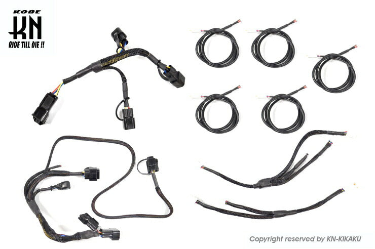 aRacer アレーサー 接続ハーネス 2to10/6P/4Pコネクター拡張
