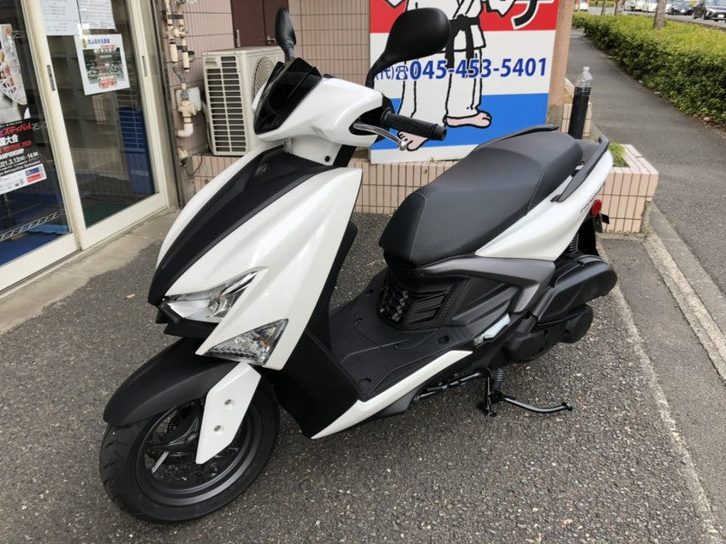 KOSOエアロクーリングレッグシールド シグナスGRYPHUS(6型)