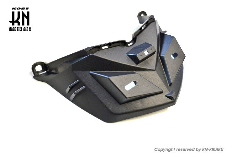 AR APEXX フェンダーレスキット シグナスグリファス 6型 台湾仕様/国内仕様