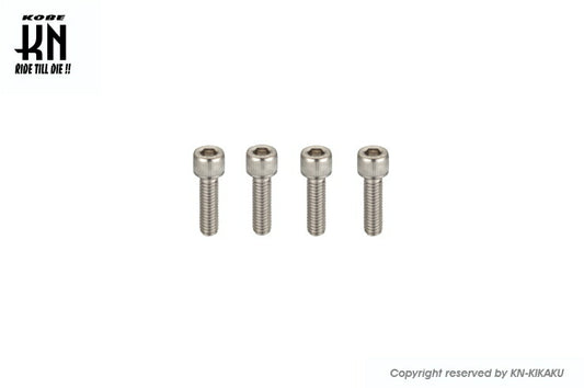 Hex Steel Bolts M6-25mm, 4 pcs
