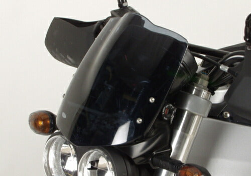 SRタイプ ダークスモーク シティX XB12S XB12SCG XB12SS XB12TT XB9S XB9SX