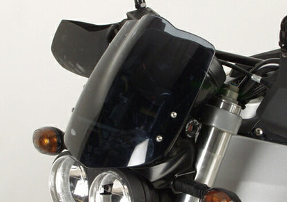 SRタイプ ダークスモーク シティX XB12S XB12SCG XB12SS XB12TT XB9S XB9SX