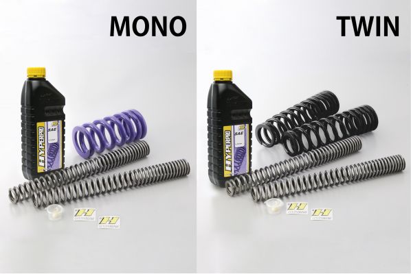 Combi Kit Front & Rear Springs CRF1100L