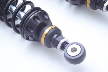 Street Box DP-S 364 Piggyback Twin Shocks Zephyr 750
