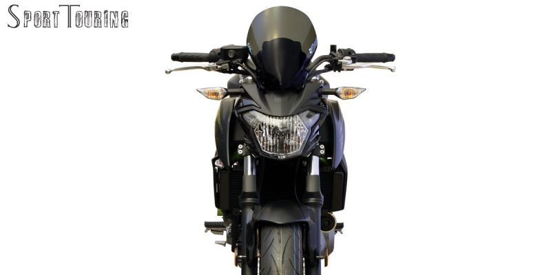 Screen Sports Touring Smoke Z650