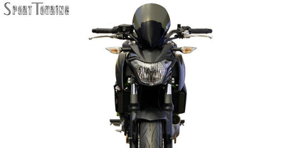 Screen Sports Touring Smoke Z650