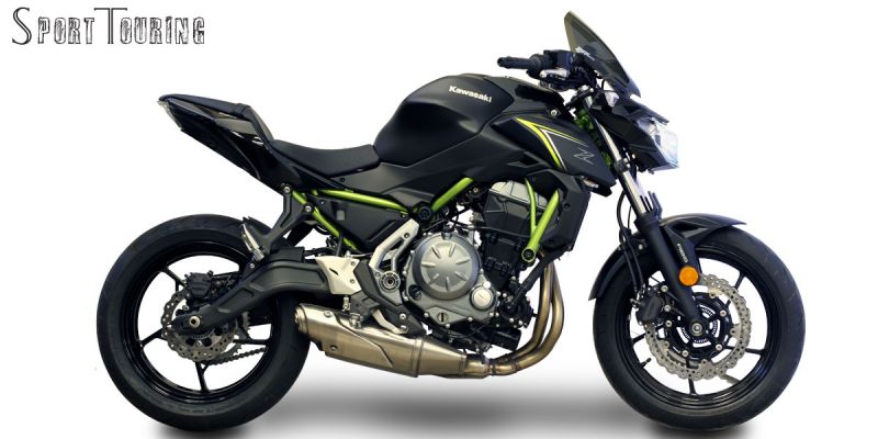 Screen Sports Touring Smoke Z650