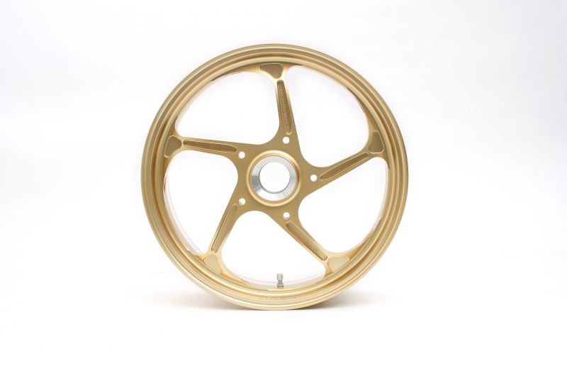 リアホイール TYPE-GP1S Gコート 半ツヤブラック 600-17 1本入 MONSTER 1200/DUCATI 1098/1199/PANIGALE V4