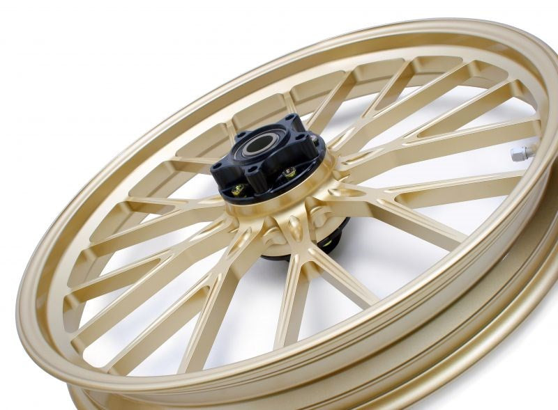 アルミ鍛造ホイール S18 フロント F250-19 ゴールド ダブルディスク ダイナ FXDC FXDB FXDL