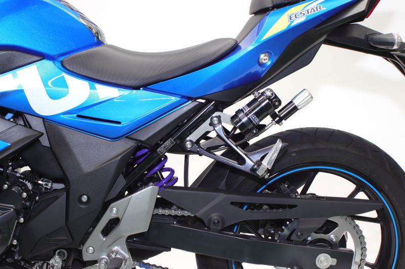 Streetbox 461 Hose-Type Tank with HPA Monoshock GSX250R