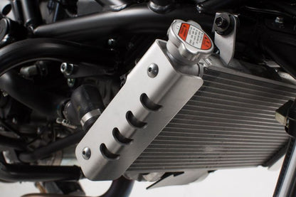 Radiator Guard SV650