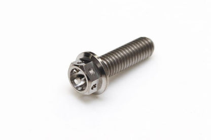 チタン フランジボルト 全ネジ ワイヤリング穴あり M6×P1.00 20mm(L) レーススペック