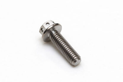 チタン フランジボルト 全ネジ ワイヤリング穴あり M6×P1.00 20mm(L) レーススペック