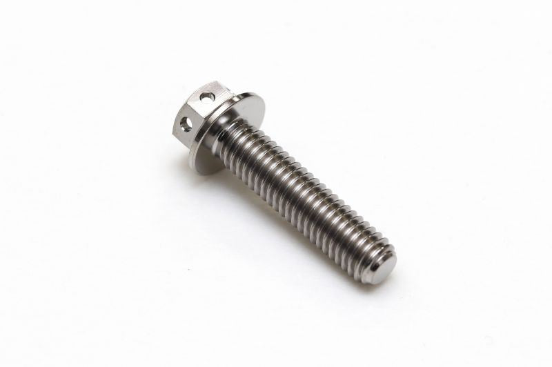 チタン フランジボルト 全ネジ ワイヤリング穴あり M6×P1.00 25mm(L) レーススペック