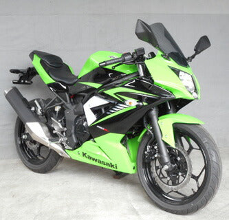 Screen Kawasaki Ninja 250SL Smoke