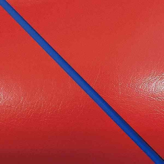 Domestic Seat Cover Red/Blue Piping Reupholstering Type Address 110 (CF11A)