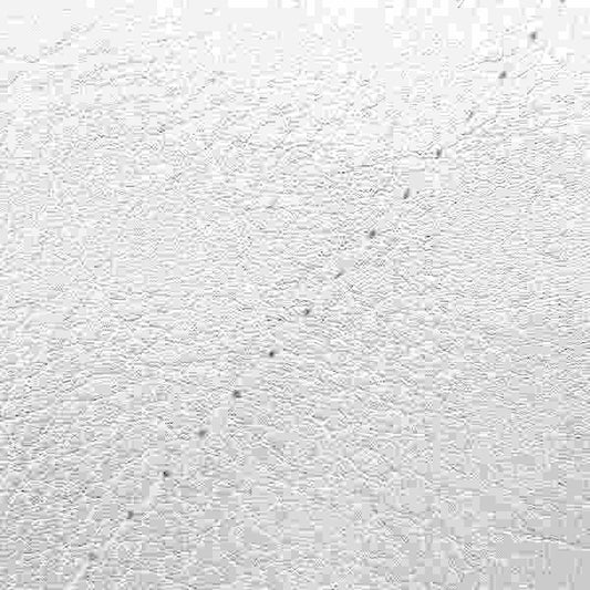 Domestic Seat Cover, Silver/Clear Stitch, Replacement Type for Sepia