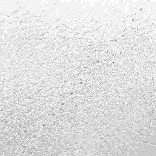 国産シートカバー 張替タイプ シルバー/透明ステッチ トゥデイ(AF67) FI