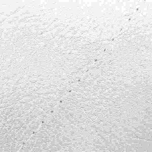 国産シートカバー 張替タイプ シルバー/透明ステッチ FZ1フェザー(10年～) シングル(フロント側)