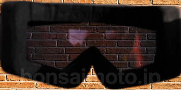 Double Lens Pinlock-Ready Multilayer Mirror
