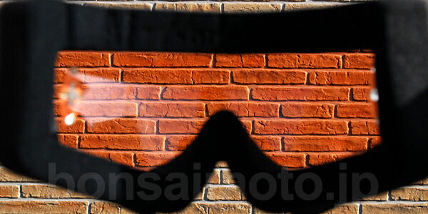 Lens: No pin, Light Coral